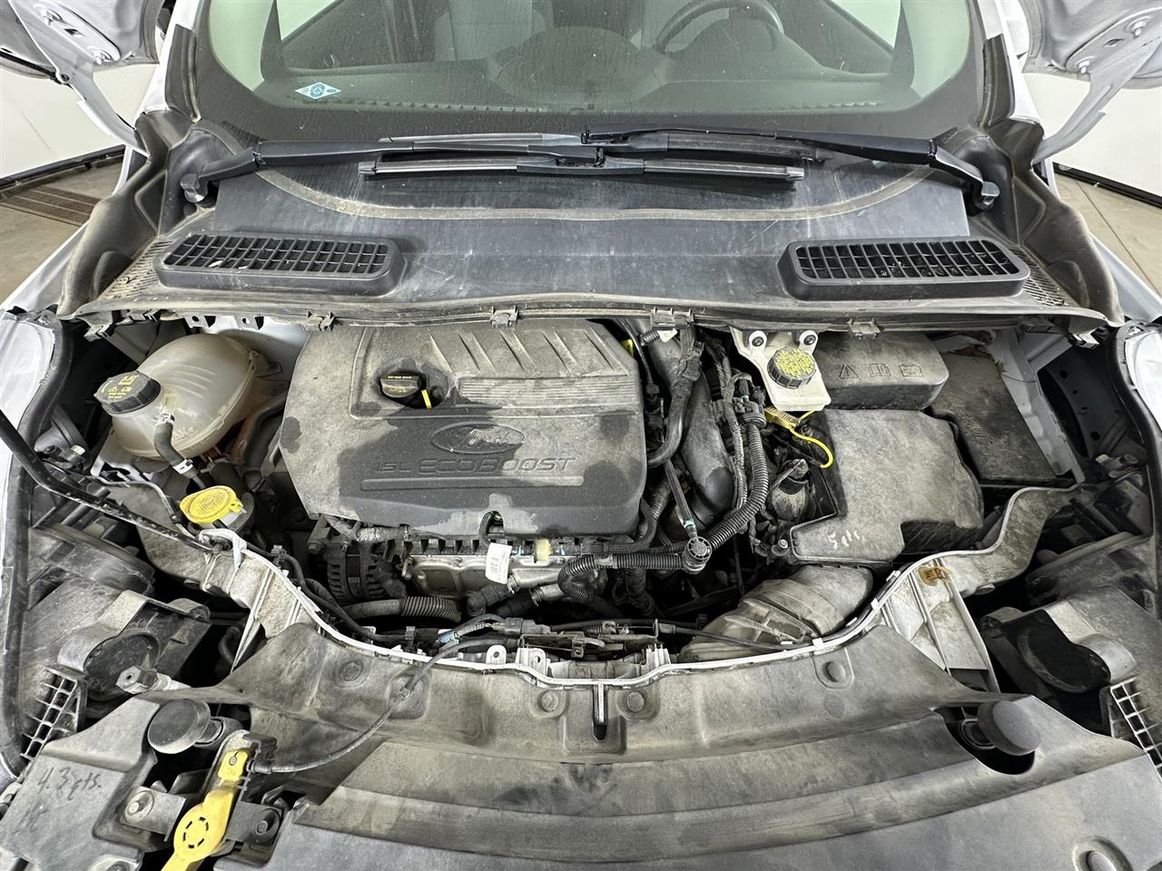 Vehicle/100740_08.jpg