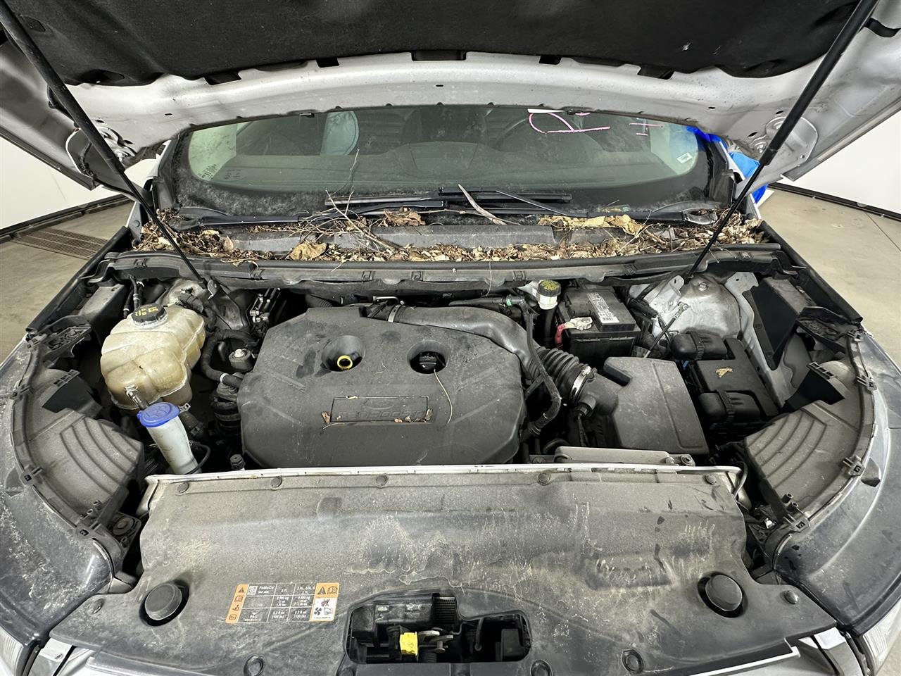 Vehicle/102435_07.jpg
