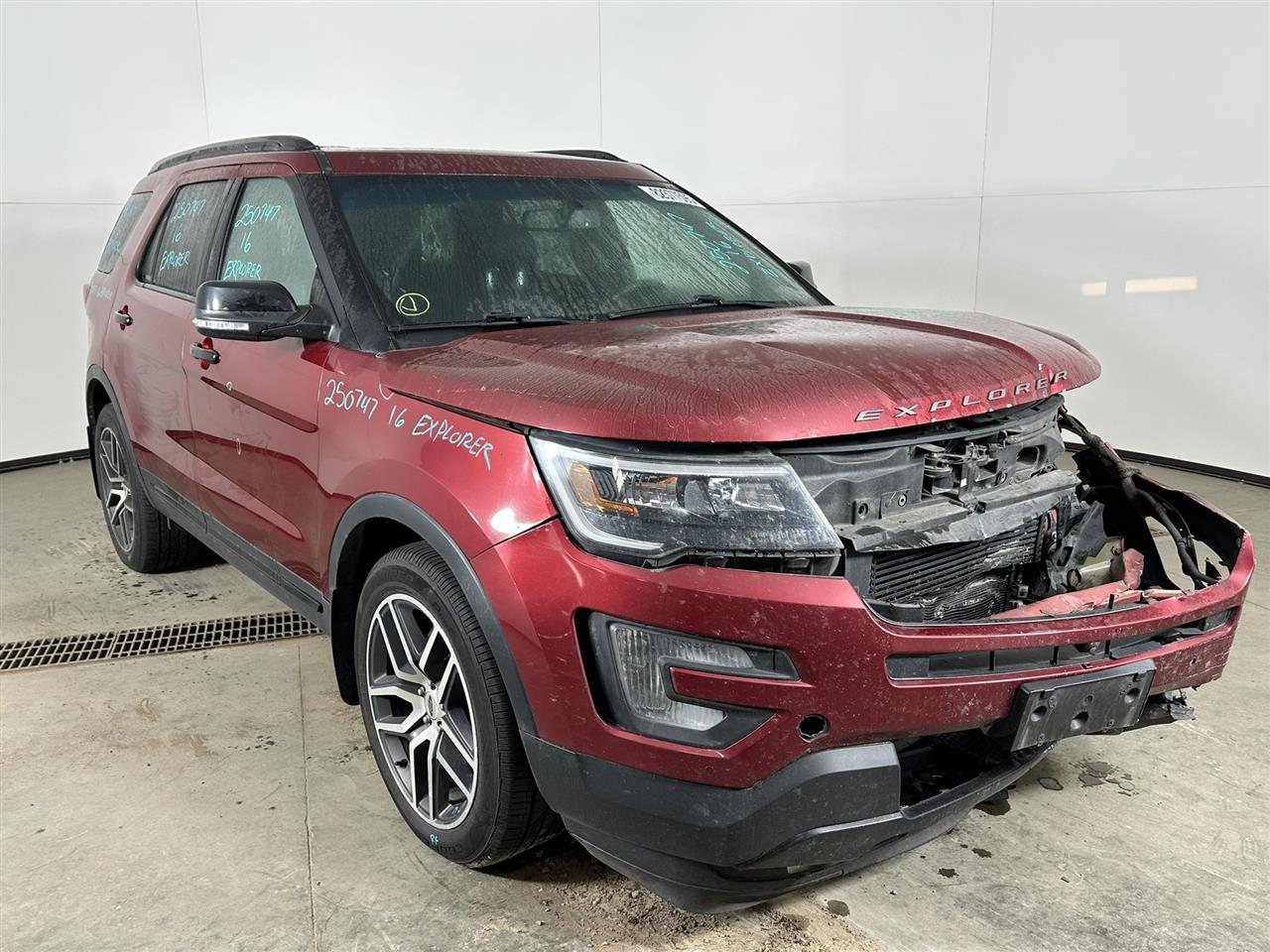 Vehicle/103557_05.jpg
