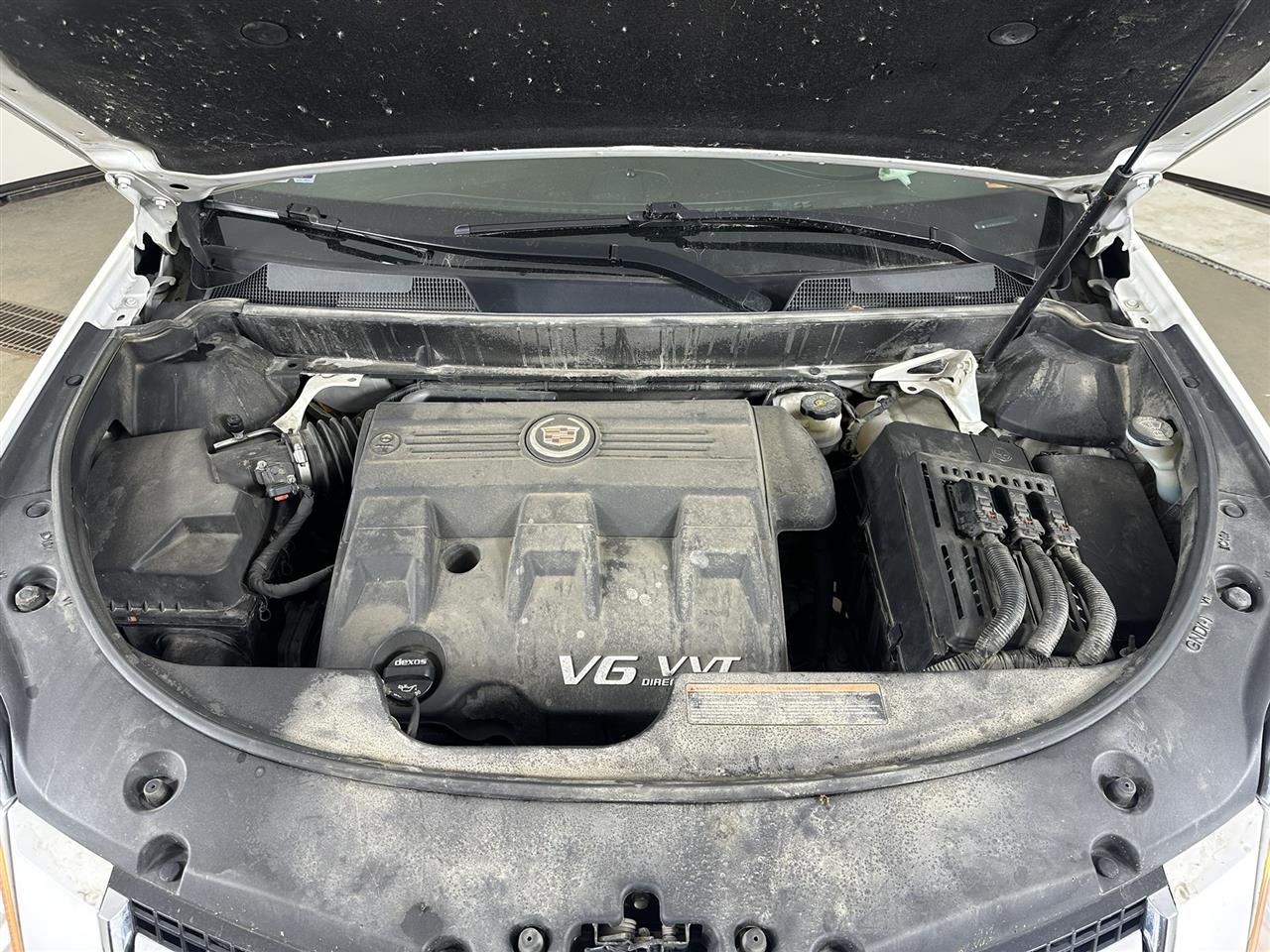 Vehicle/104332_09.jpg