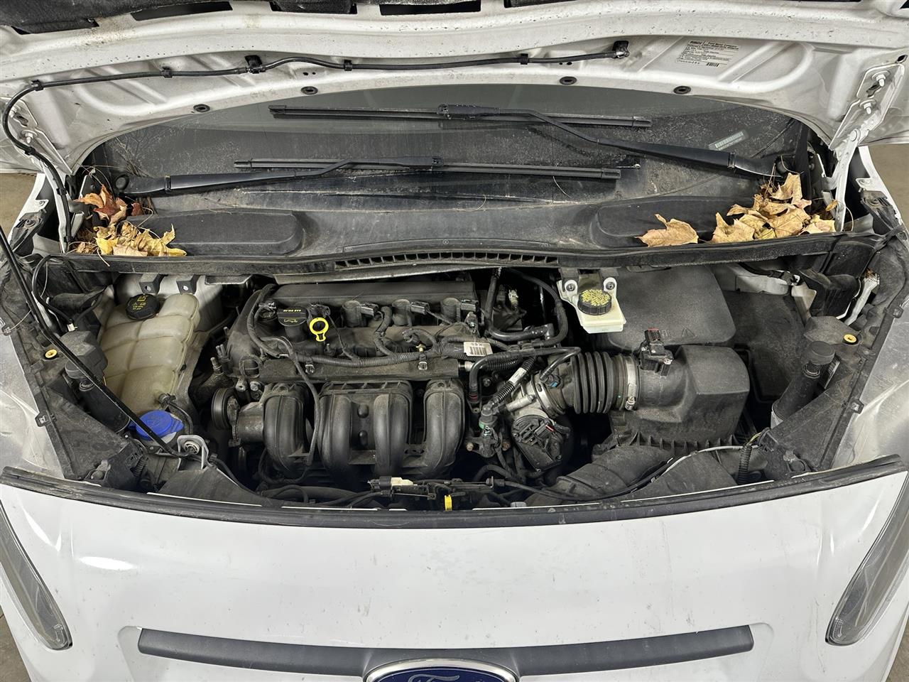 Vehicle/105439_10.jpg