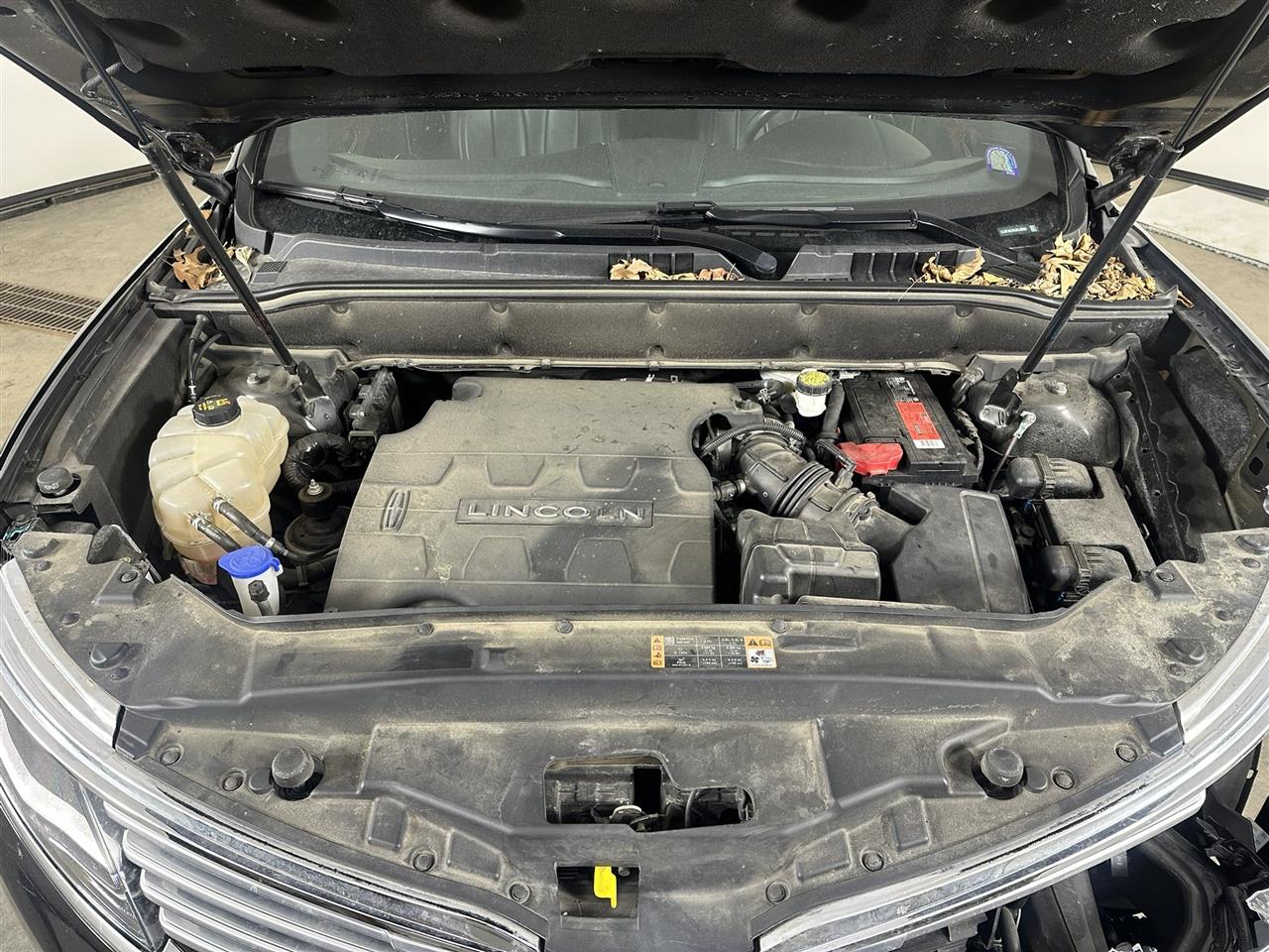 Vehicle/105885_10.jpg