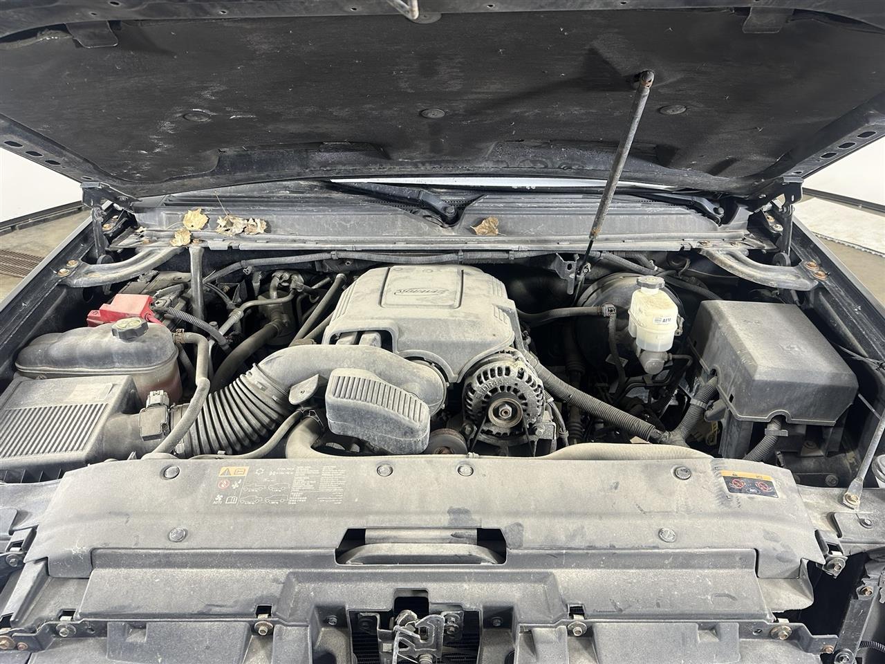 Vehicle/106774_10.jpg