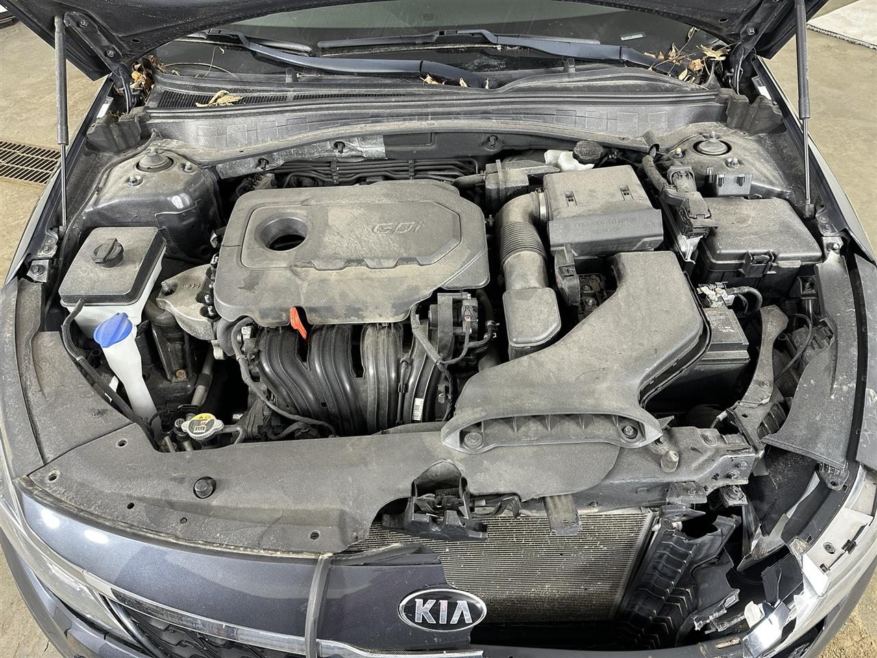 Vehicle/107985_10.jpg