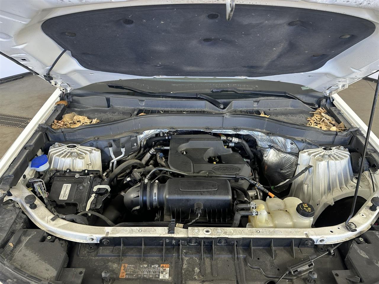 Vehicle/109731_09.jpg