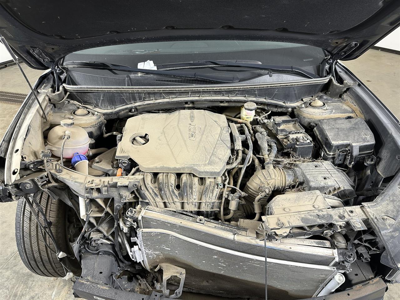 Vehicle/110354_10.jpg