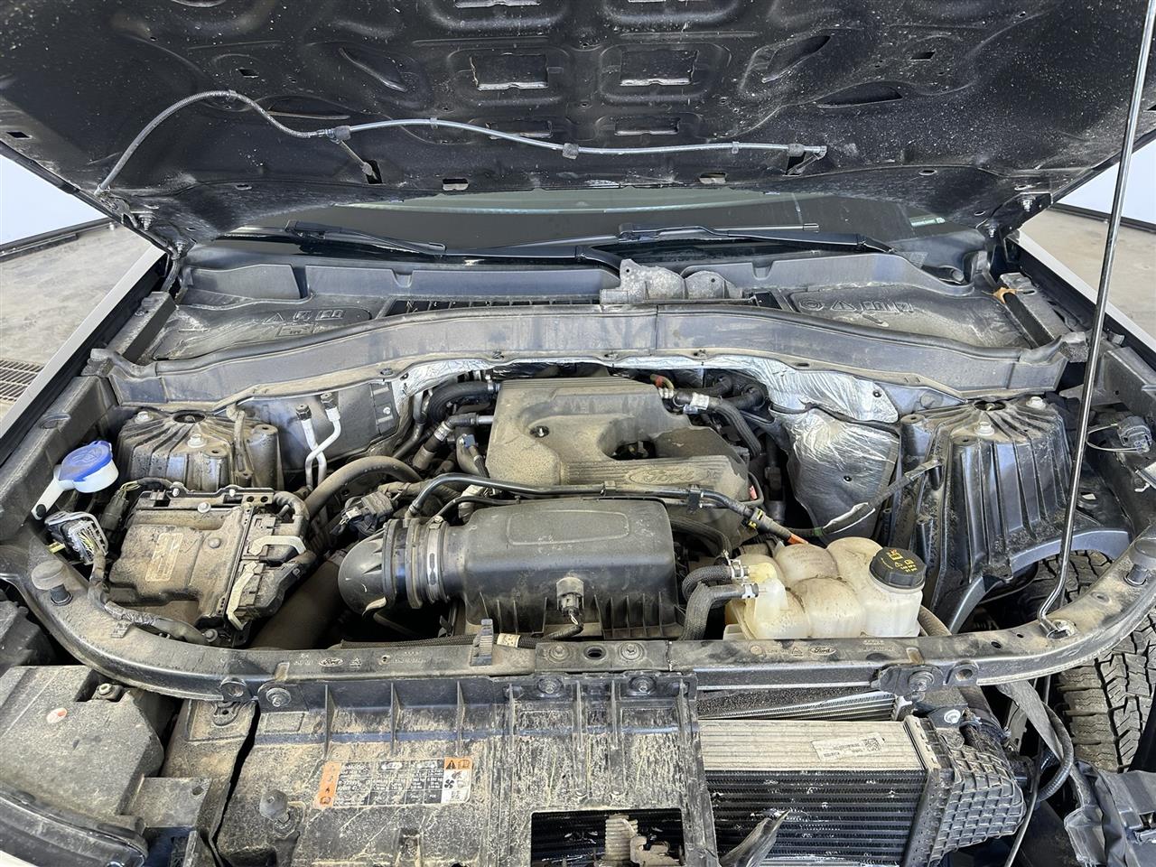 Vehicle/111544_10.jpg