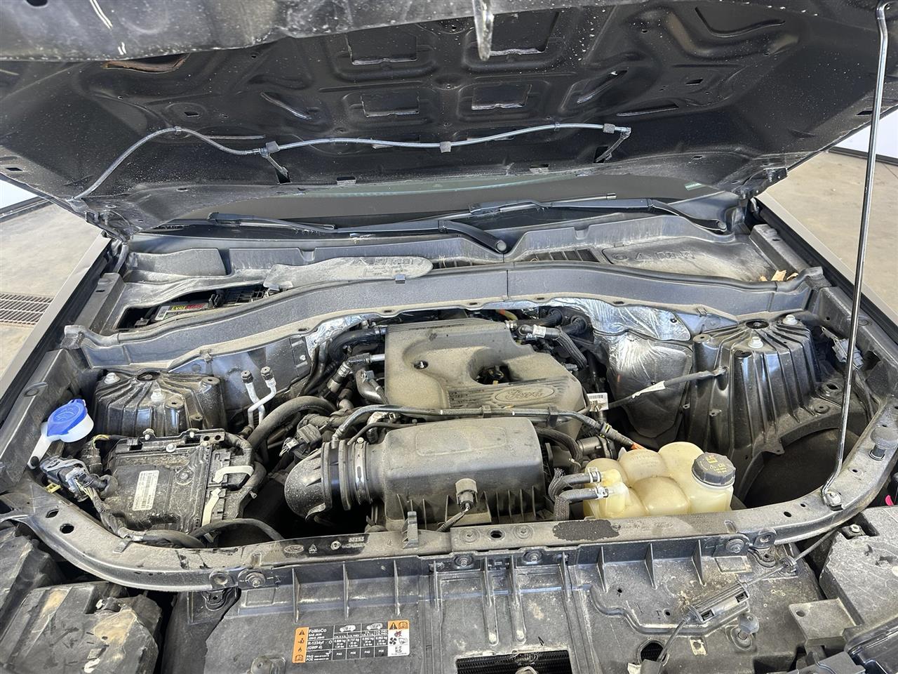 Vehicle/112781_10.jpg