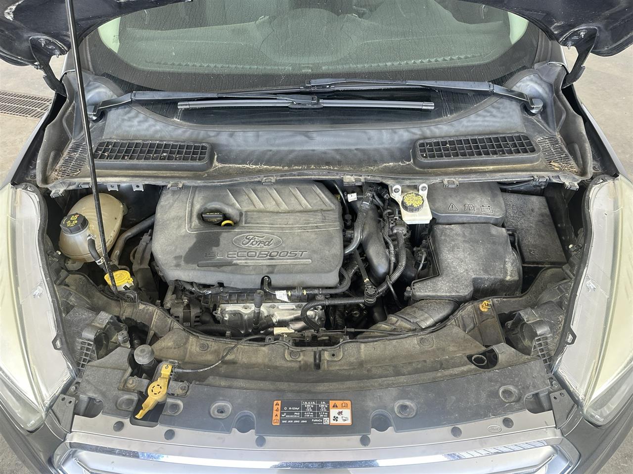 Vehicle/112844_10.jpg