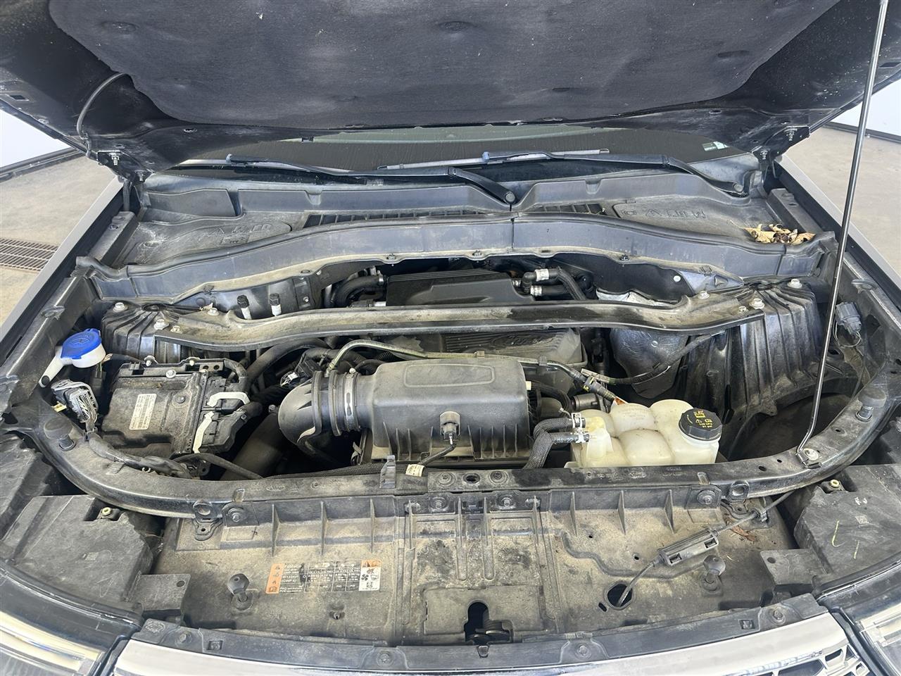 Vehicle/113496_10.jpg