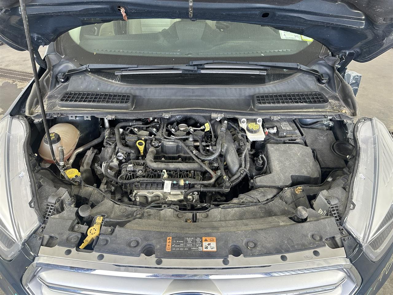 Vehicle/113527_10.jpg