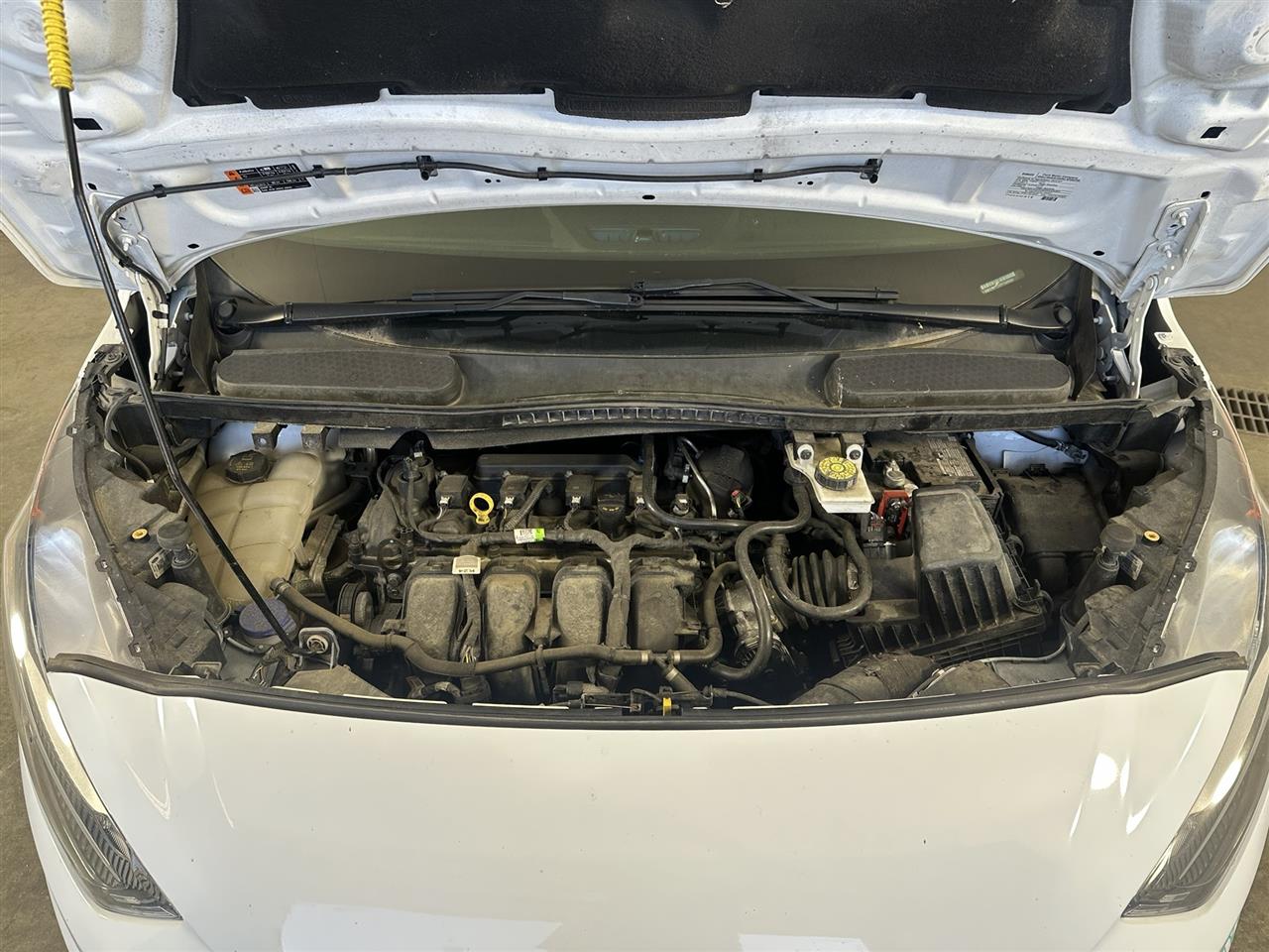 Vehicle/114319_10.jpg