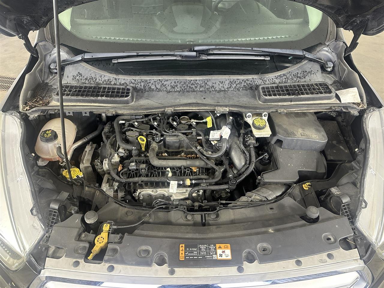 Vehicle/114989_10.jpg
