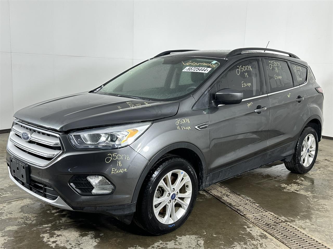 Vehicle/96285_01.jpg