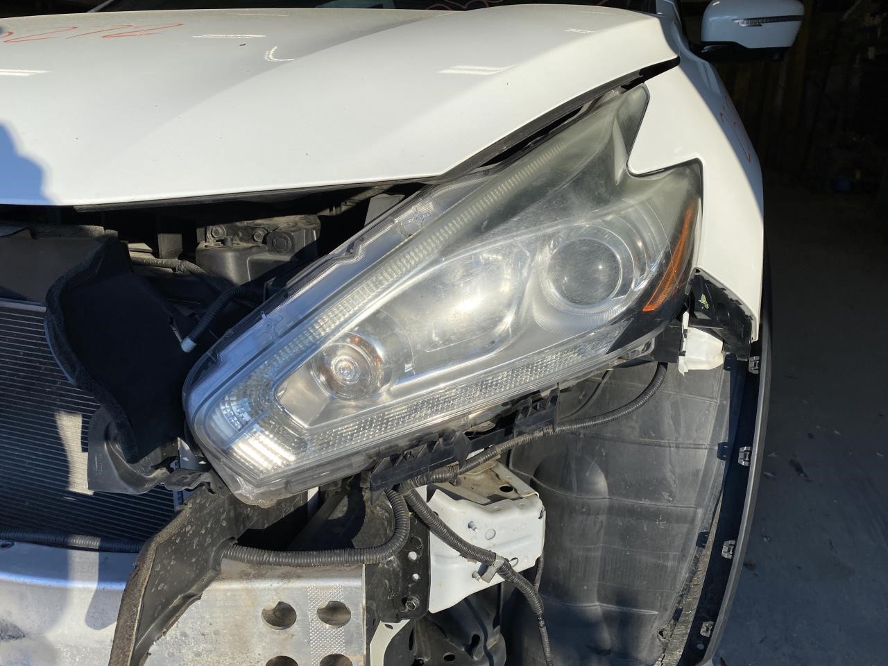 Vehicle/117265_05.jpg