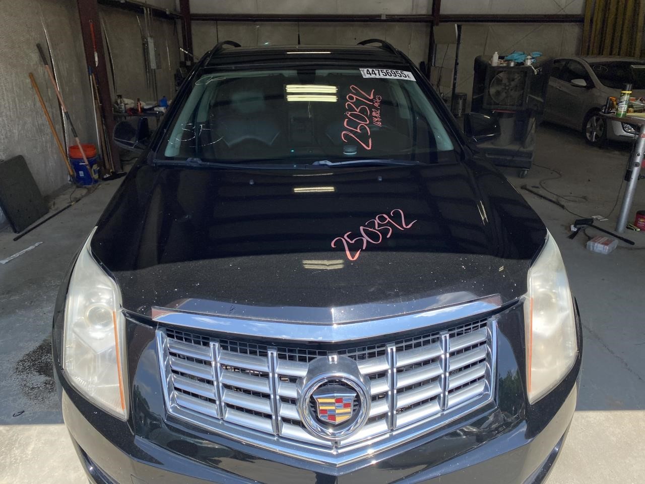 Vehicle/118555_05.jpg