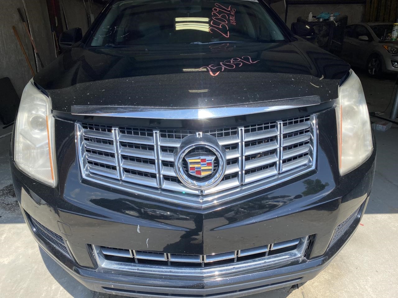 Vehicle/118555_06.jpg