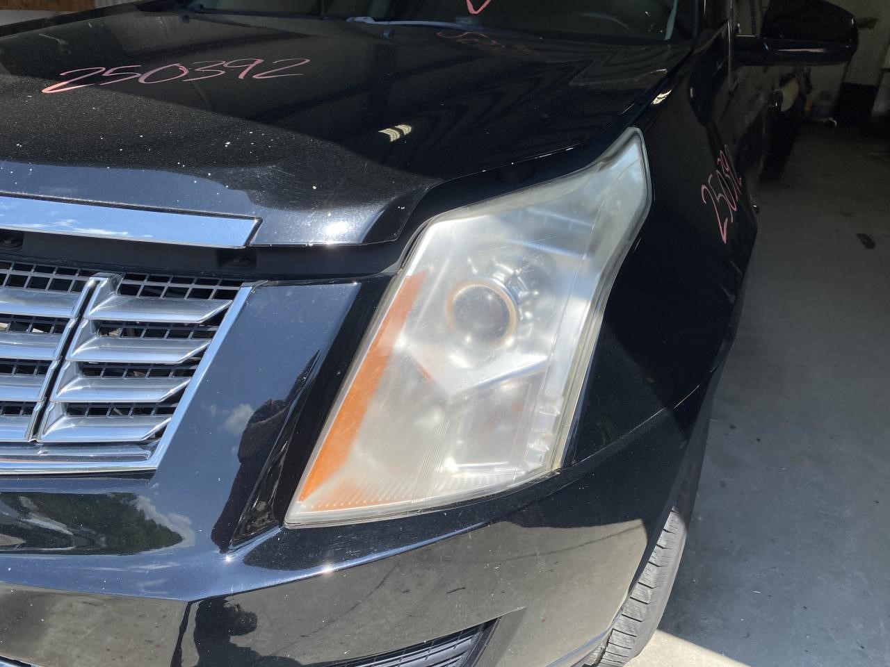 Vehicle/118555_11.jpg