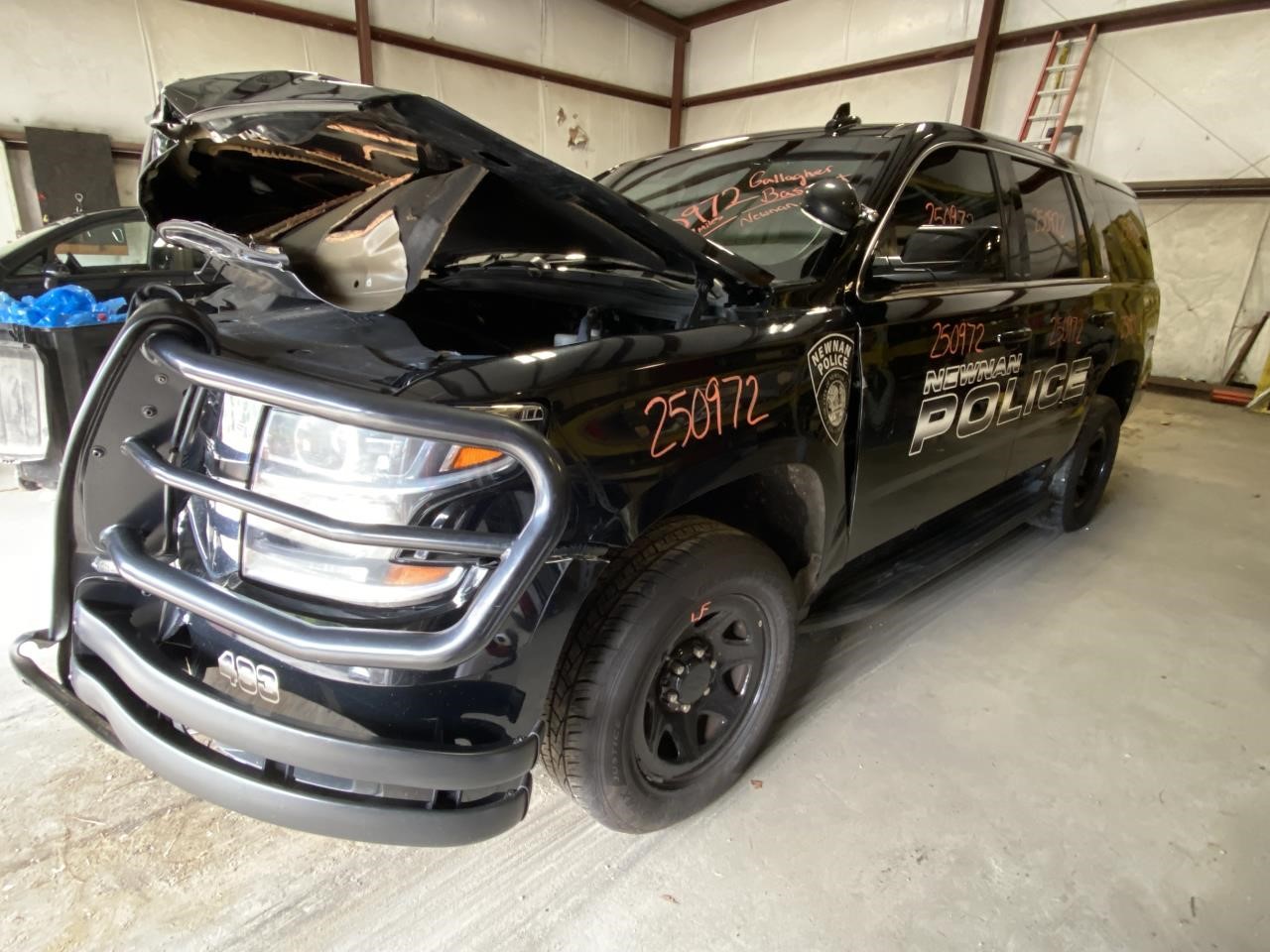 Vehicle/123342_06.jpg