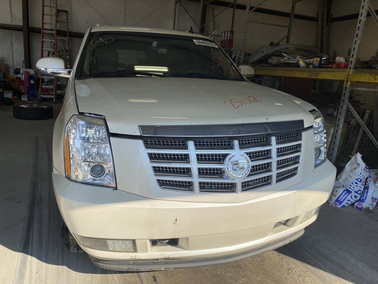Vehicle/124356_04.jpg