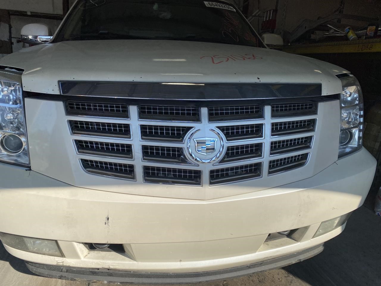 Vehicle/124356_05.jpg