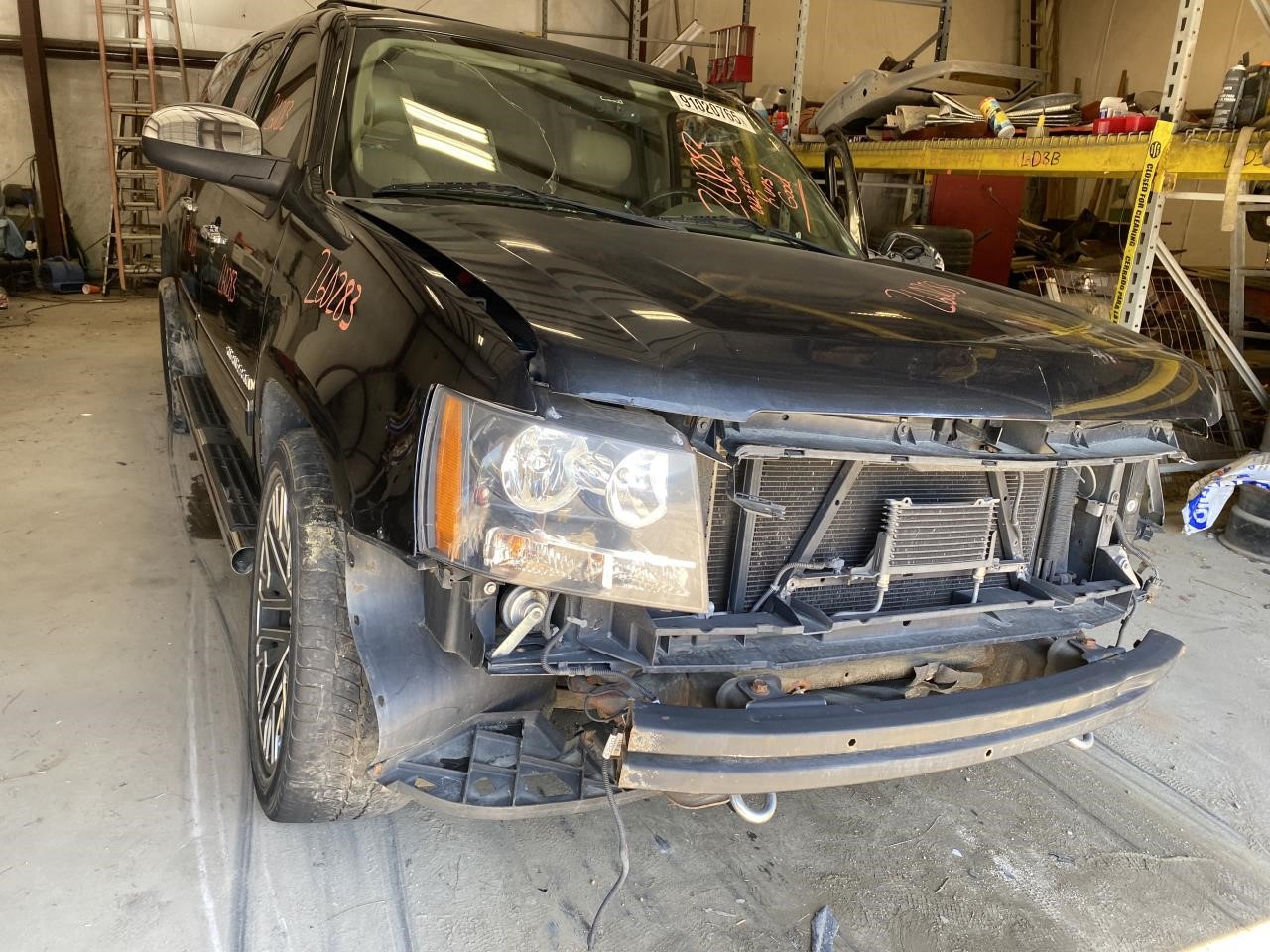 Vehicle/129613_04.jpg