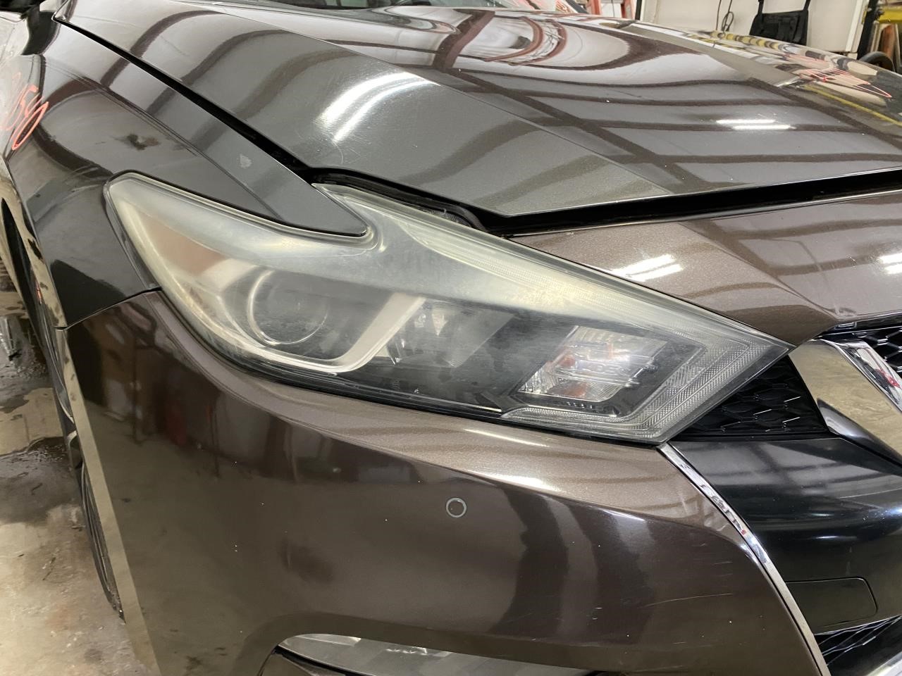 Vehicle/131381_07.jpg