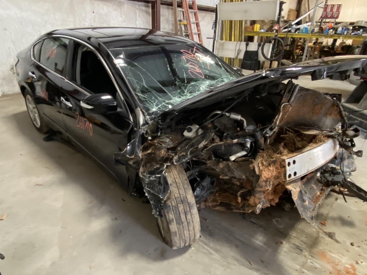 Vehicle/132934_16.jpg