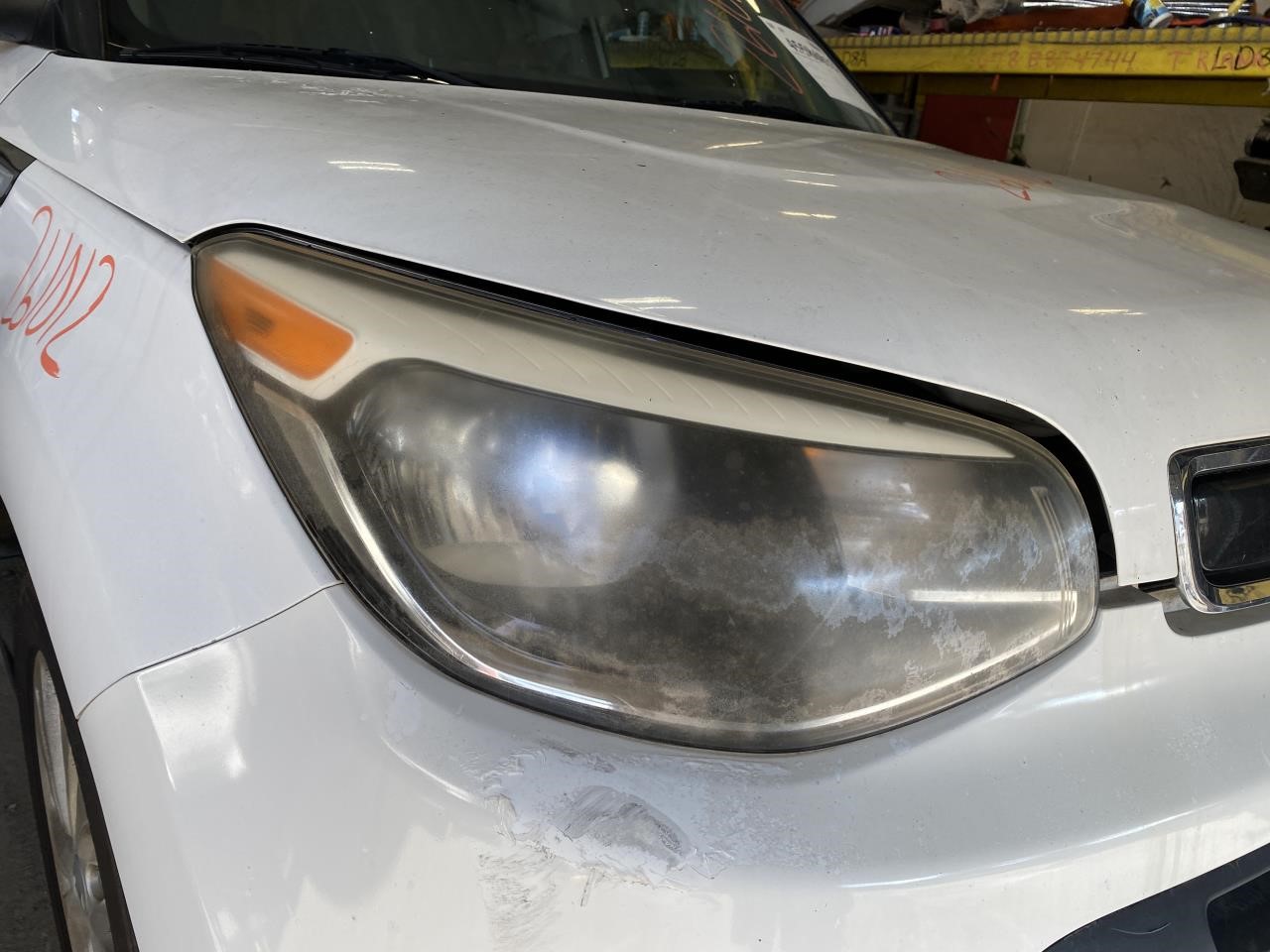 Vehicle/135544_08.jpg