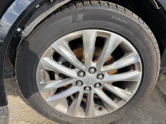 i/e/h/d/b0ac940a-d2db-411d-ab62-7d30c742733b.jpeg