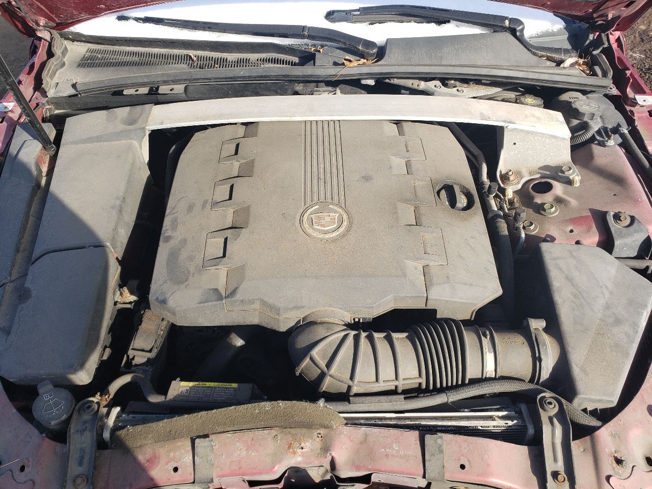 https://f005.backblazeb2.com/file/img-partshotlines-com/Inventory/MA726/Vehicle/39449_10.jpg