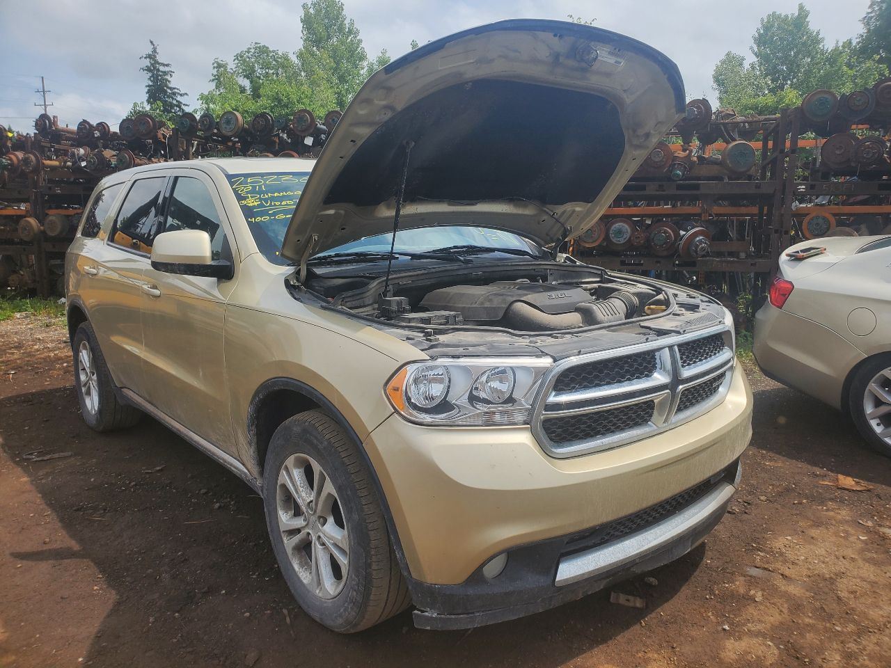 Vehicle/40598_09.jpg