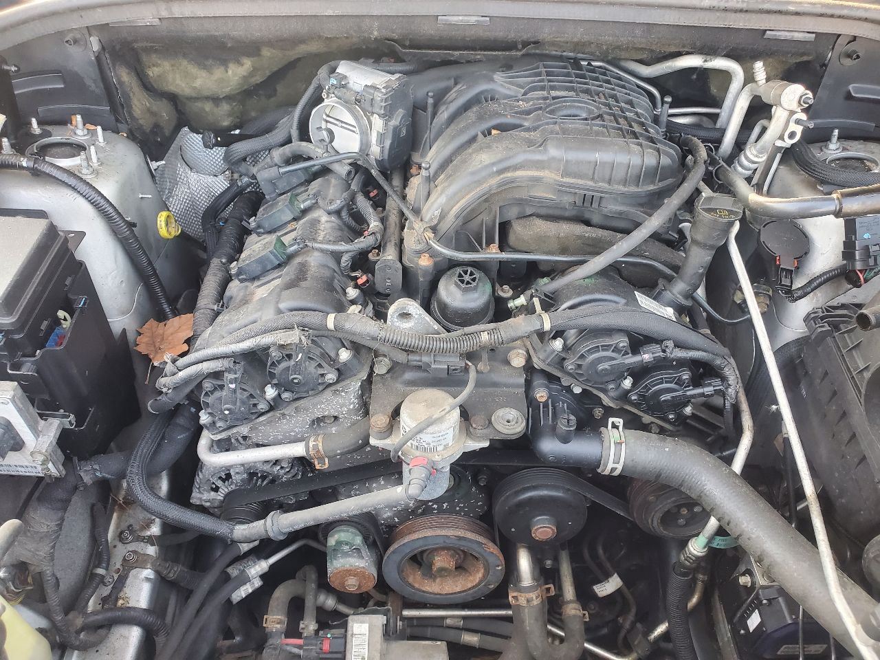 Vehicle/40739_10.jpg
