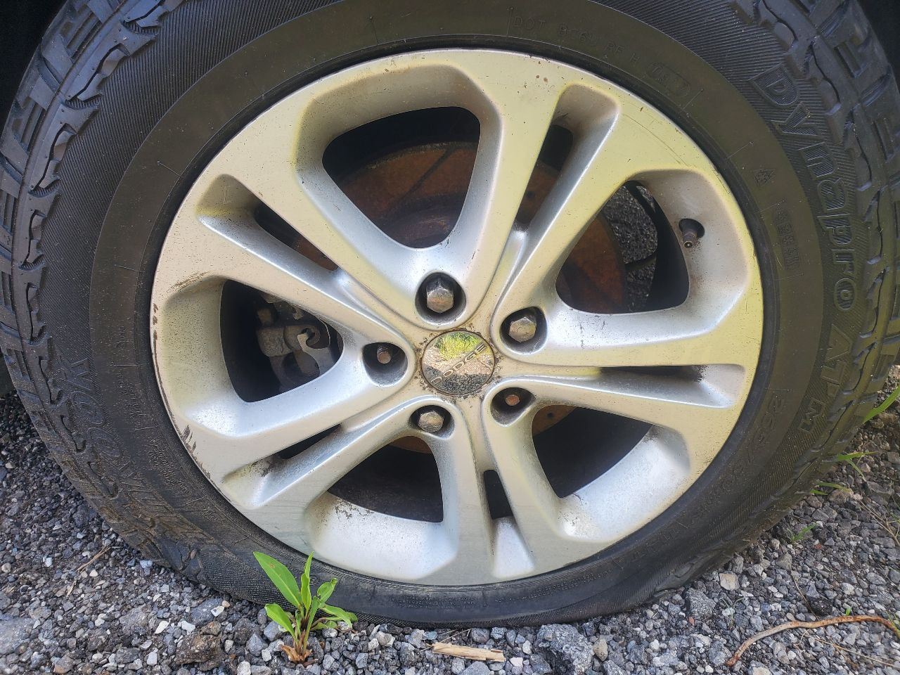 Vehicle/40739_13.jpg