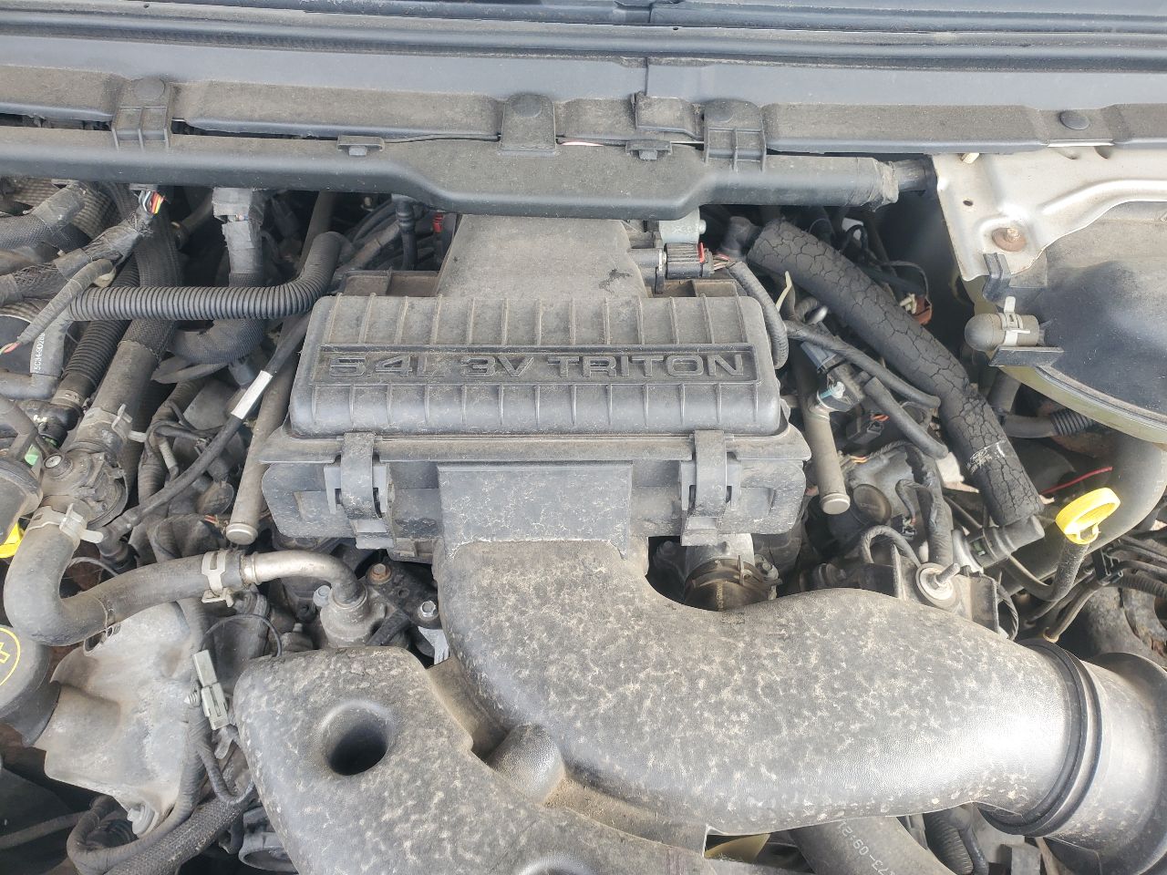 https://f005.backblazeb2.com/file/img-partshotlines-com/Inventory/MA726/Vehicle/40954_09.jpg