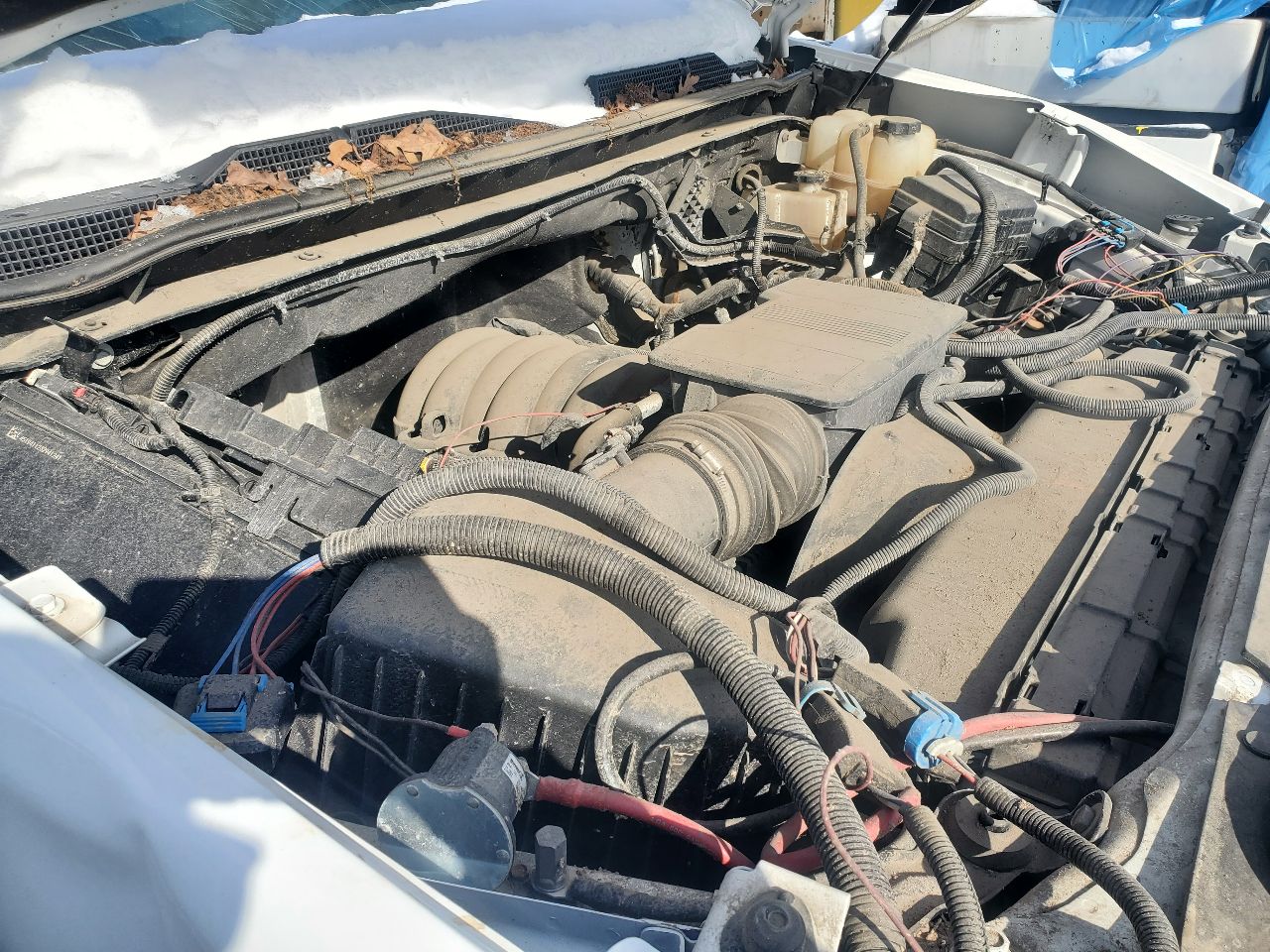 https://f005.backblazeb2.com/file/img-partshotlines-com/Inventory/MA726/Vehicle/41582_03.jpg