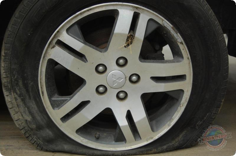 https://f005.backblazeb2.com/file/img-partshotlines-com/Inventory/MA73/Vehicle/36637_07.jpg