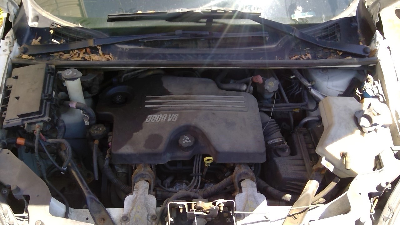 https://f005.backblazeb2.com/file/img-partshotlines-com/Inventory/MA734/Vehicle/23803_11.jpg