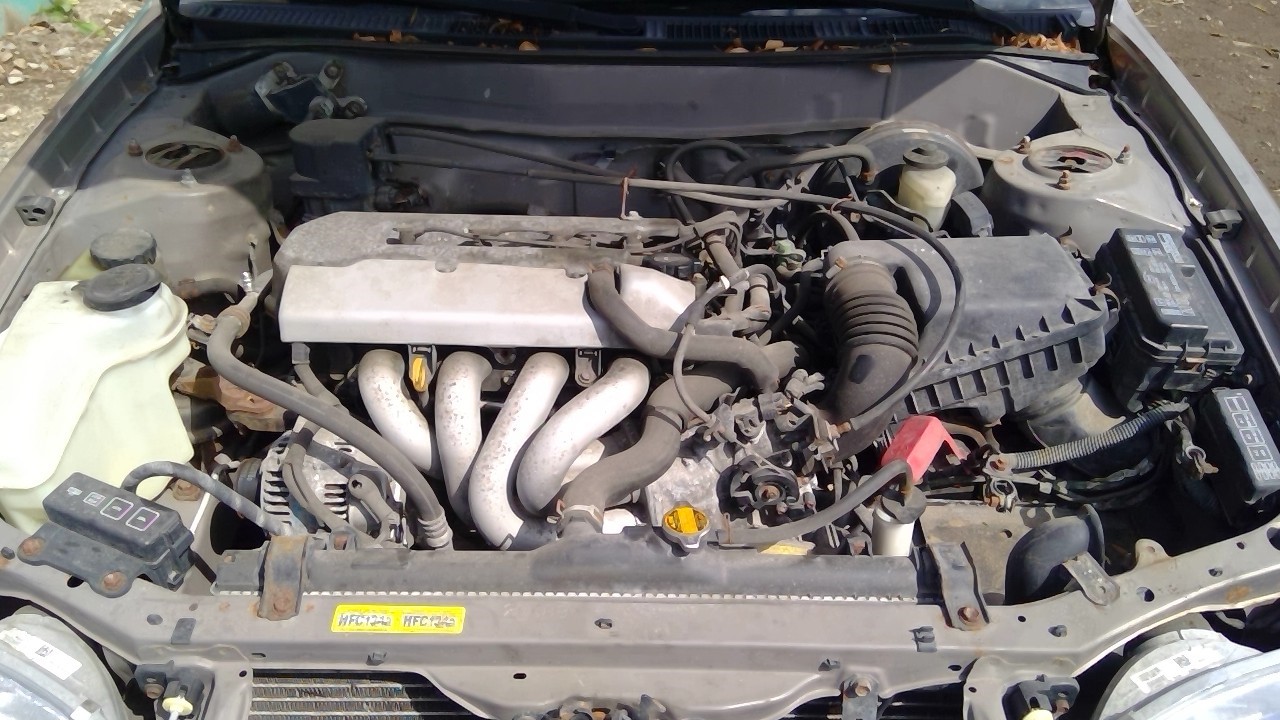 https://f005.backblazeb2.com/file/img-partshotlines-com/Inventory/MA734/Vehicle/23938_08.jpg