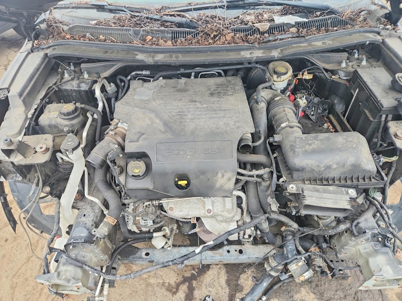 https://f005.backblazeb2.com/file/img-partshotlines-com/Inventory/MA734/Vehicle/23972_11.jpg