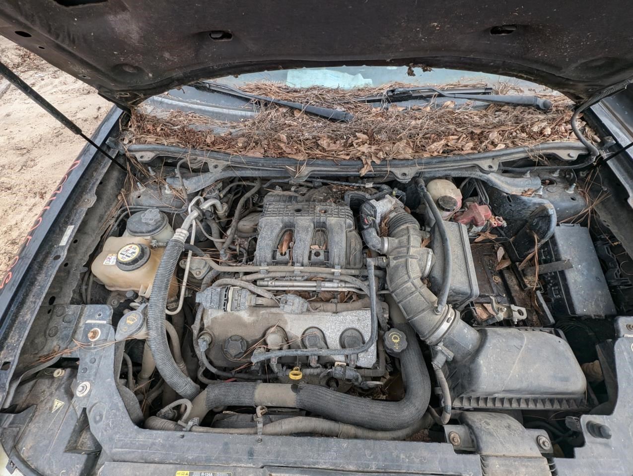 https://f005.backblazeb2.com/file/img-partshotlines-com/Inventory/MA79/Vehicle/76106_07.jpg