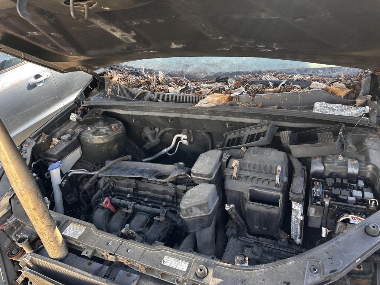 https://f005.backblazeb2.com/file/img-partshotlines-com/Inventory/MA79/Vehicle/76539_07.jpg