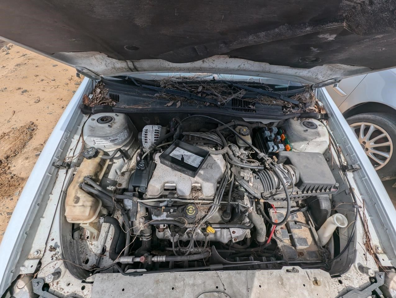 https://f005.backblazeb2.com/file/img-partshotlines-com/Inventory/MA79/Vehicle/76551_10.jpg