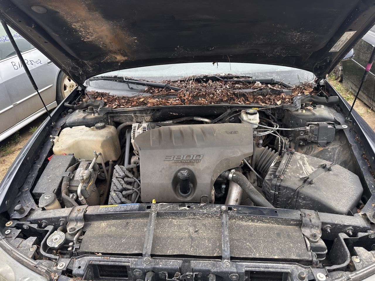 https://f005.backblazeb2.com/file/img-partshotlines-com/Inventory/MA79/Vehicle/76588_07.jpg