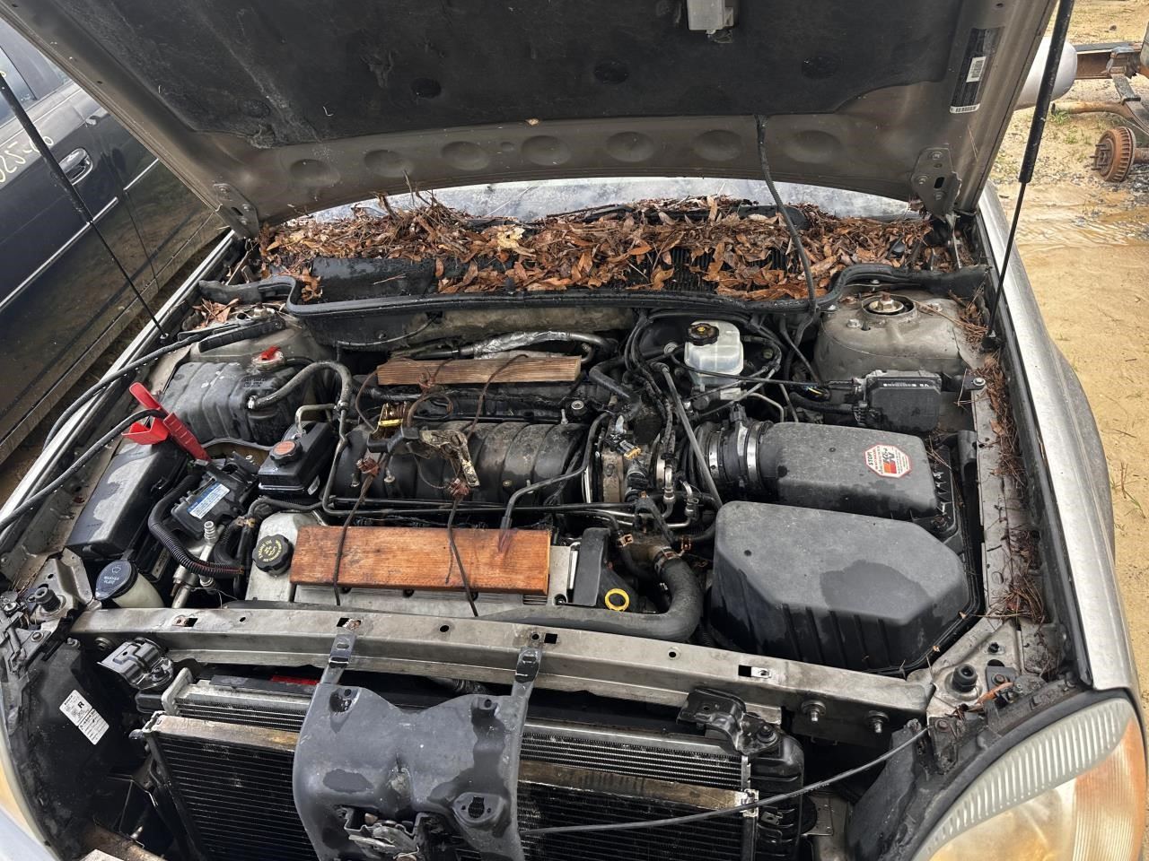 https://f005.backblazeb2.com/file/img-partshotlines-com/Inventory/MA79/Vehicle/77614_07.jpg