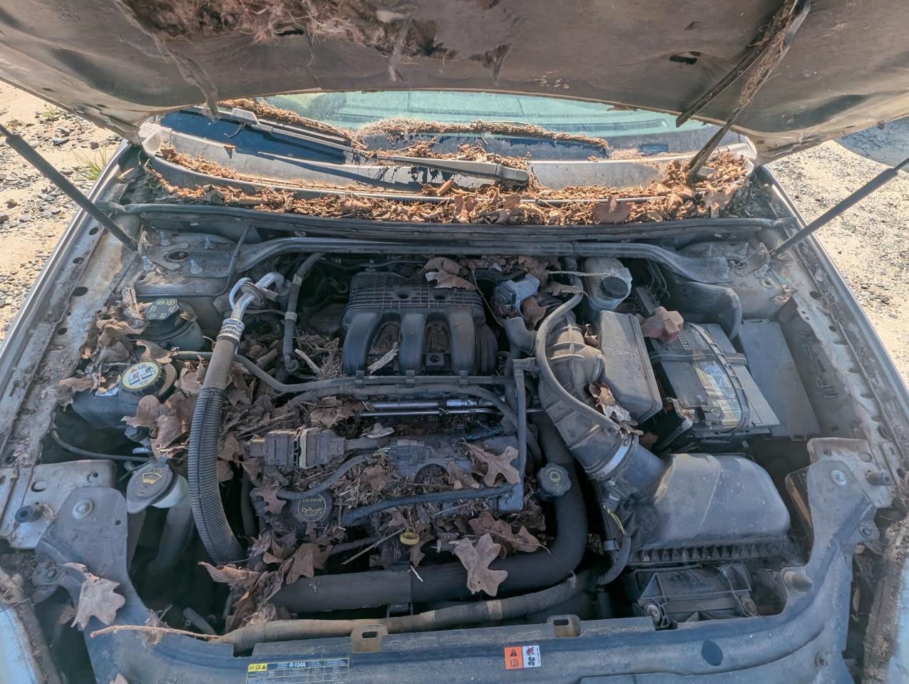 https://f005.backblazeb2.com/file/img-partshotlines-com/Inventory/MA79/Vehicle/81049_09.jpg