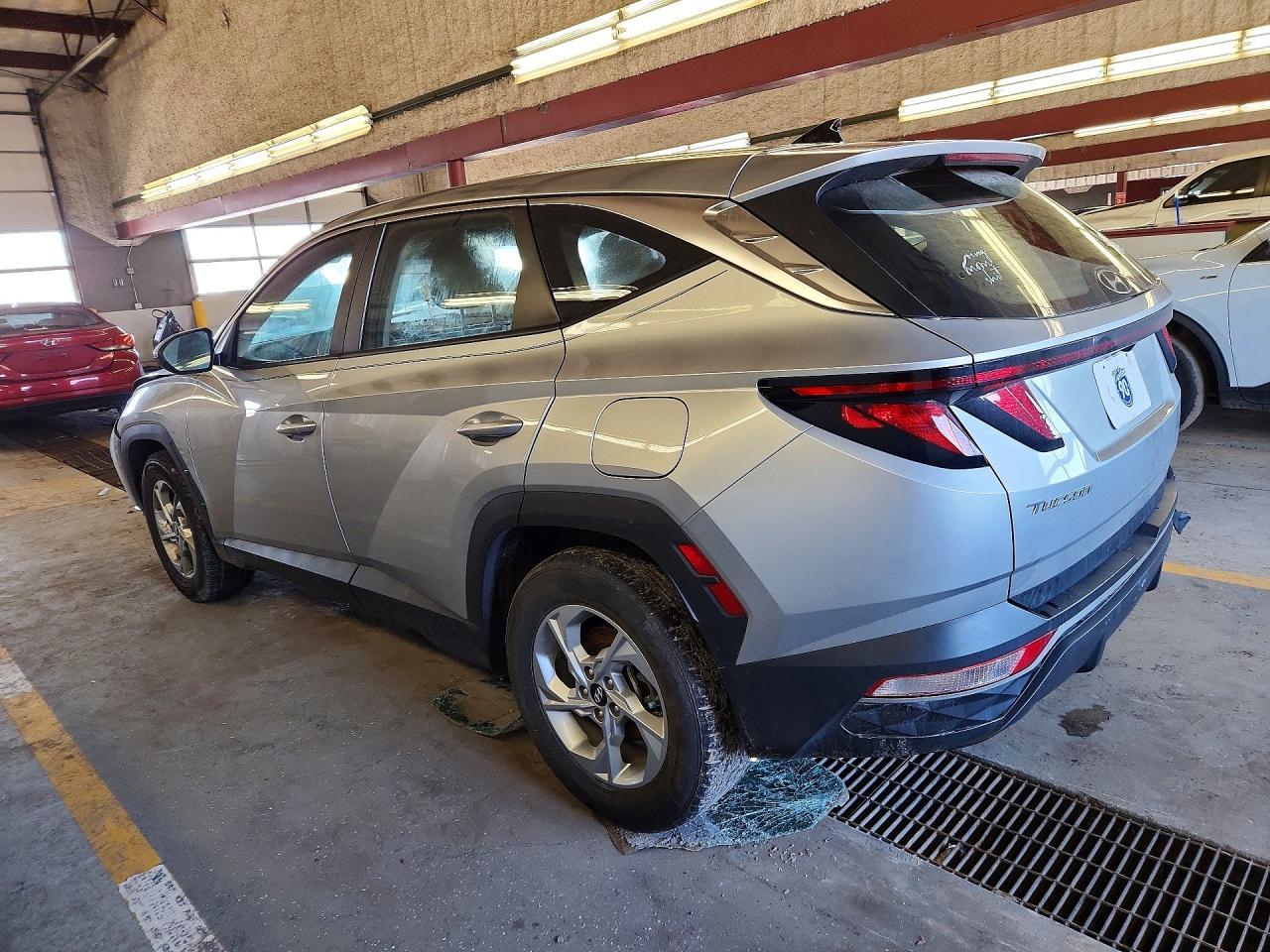 f/b/e/e/c/1ed239a5-b5e0-43cd-ac23-baa686bb4e1c.jpg
