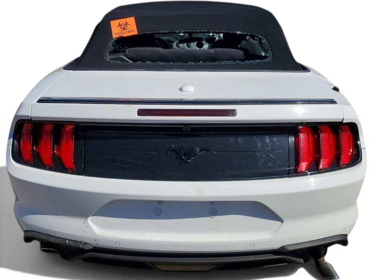 https://f005.backblazeb2.com/file/img-partshotlines-com/Inventory/MA832/Vehicle/31633_04.jpg