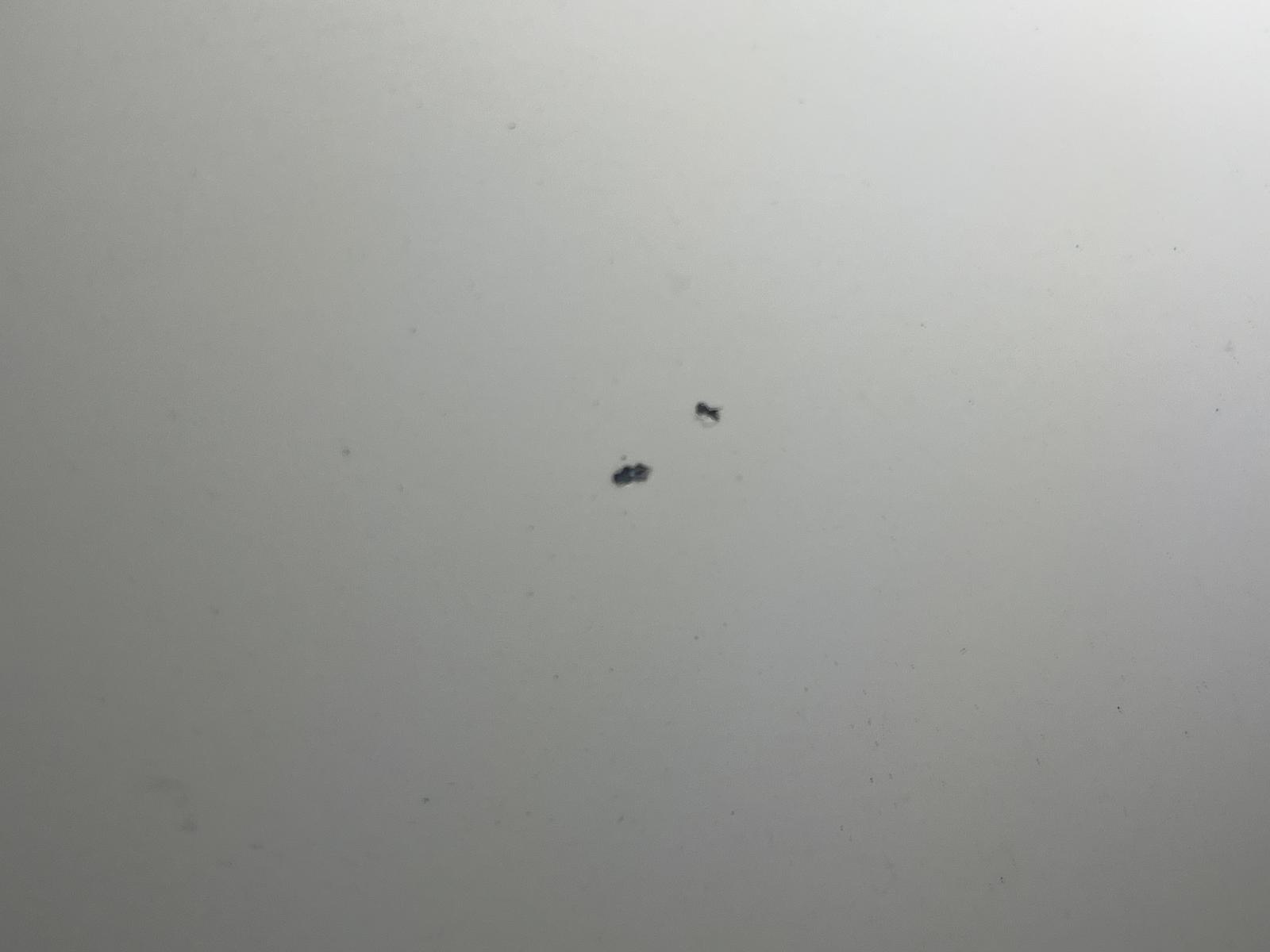 i/j/d/e/0b5bf7ce-eaa0-4564-8e86-8cb551dd4988.jpg