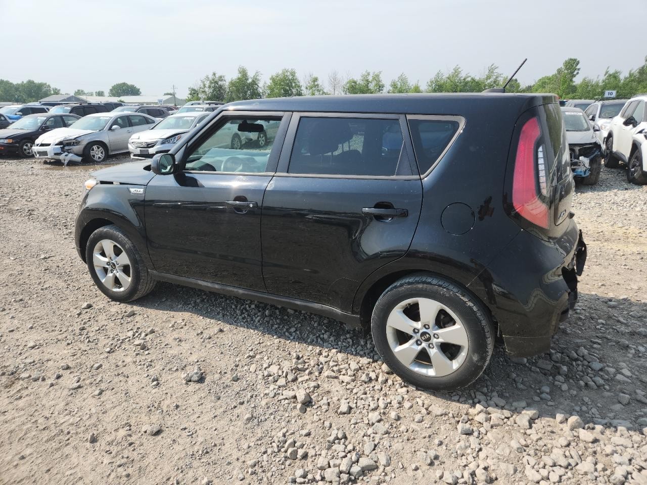 Vehicle/105433_02.jpg